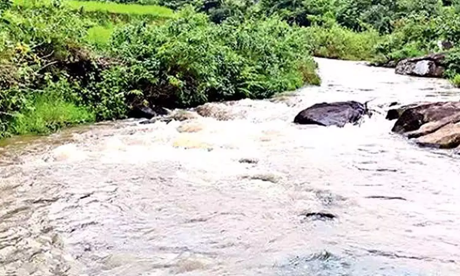 Andhra: भारी बारिश से एजेंसी गांवों में जनजीवन अस्त-व्यस्त हो गया है