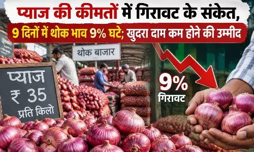 प्याज की कीमतों में गिरावट के संकेत, 9 दिनों में थोक भाव 9% घटे; खुदरा दाम कम होने की उम्मीद