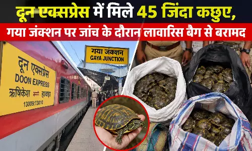 दून एक्सप्रेस में मिले 45 जिंदा कछुए, गया जंक्शन पर जांच के दौरान लावारिस बैग से बरामद
