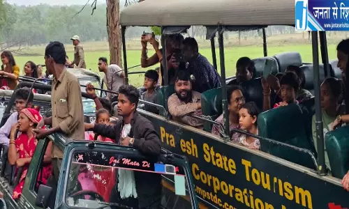 1 अक्टूबर से खुलेंगे MP के टाइगर रिजर्व नए सफारी टाइमिंग लागू