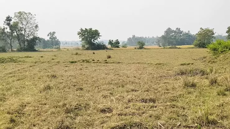 West Burdwan: चित्तरंजन में खाली जमीन को खेती के लिए किया जाएगा उपयोग West Burdwan: चित्तरंजन में खाली जमीन को खेती के लिए किया जाएगा उपयोग