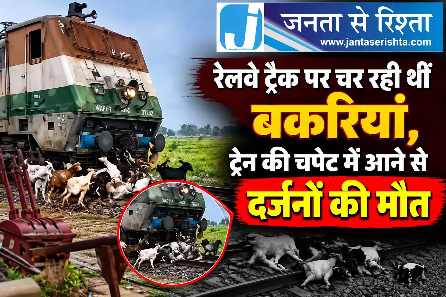 रेलवे ट्रैक पर चर रही थीं बकरियां, ट्रेन की चपेट में आने से दर्जनों की मौत रेलवे ट्रैक पर चर रही थीं बकरियां, ट्रेन की चपेट में आने से दर्जनों की मौत