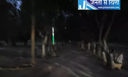 सिरसा पार्क में खुले तार बने खतरा