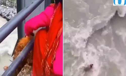 नेपाल में कुत्ते को नदी में फेंकने का वीडियो वायरल इंसानियत पर उठे सवाल नेपाल में कुत्ते को नदी में फेंकने का वीडियो वायरल इंसानियत पर उठे सवाल