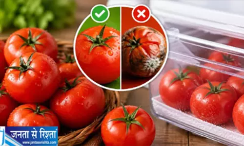 टमाटर जल्दी खराब होने से बचाएं स्टोर करने का सही तरीका जानें