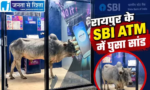 रायपुर के SBI ATM में घुसा सांड