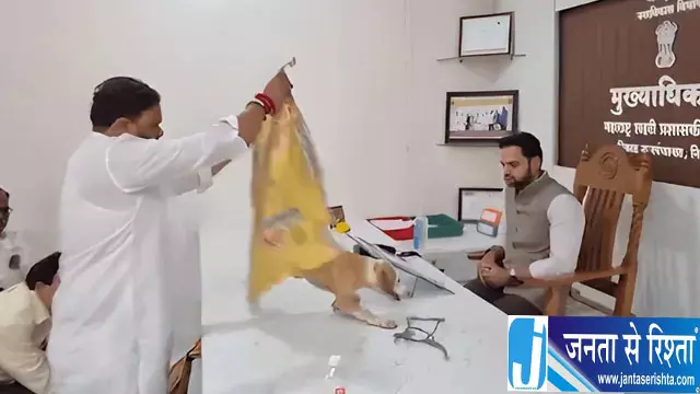 आवारा कुत्तों के मुद्दे पर युवा सेना का विरोध आवारा कुत्तों के मुद्दे पर युवा सेना का विरोध
