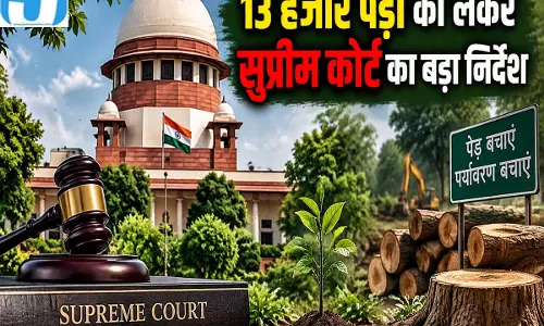 दिल्ली सेंट्रल रिज को मिलेगा नया रूप 13 हजार पेड़ों पर सुप्रीम कोर्ट का आदेश