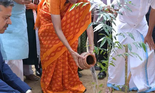 लोधी कॉलोनी में लगाए जाएंगे 10 हजार देसी पौधे लोधी कॉलोनी में लगाए जाएंगे 10 हजार देसी पौधे