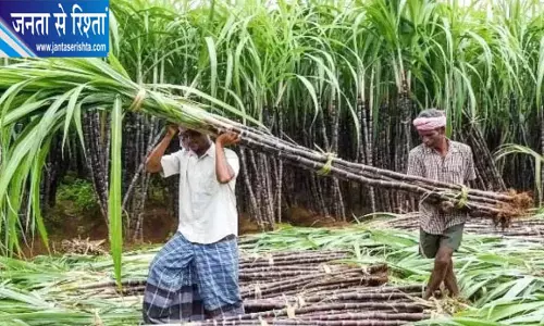 गन्ना किसानों को मिलेगी ऑनलाइन पर्ची सुविधा