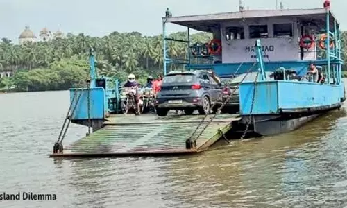 नारियल के शांत झुरमुट और चौड़े कंक्रीट मार्ग