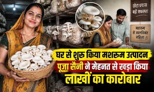 घर से शुरू किया मशरूम उत्पादन, पूजा सैनी ने मेहनत से खड़ा किया लाखों का कारोबार घर से शुरू किया मशरूम उत्पादन, पूजा सैनी ने मेहनत से खड़ा किया लाखों का कारोबार