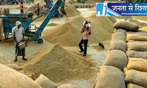हिमाचल: ऊना में धान की खरीद 3 अक्टूबर से