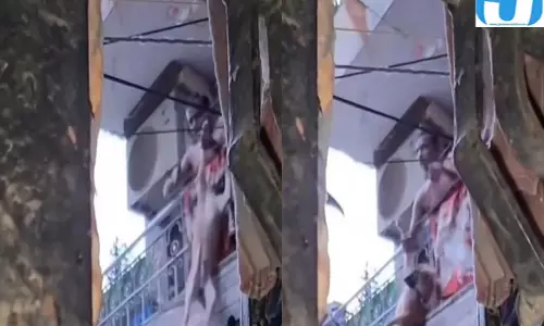 दिल्ली में कुत्ते को पीटने का वीडियो वायरल जानवरों की सुरक्षा पर उठे सवाल दिल्ली में कुत्ते को पीटने का वीडियो वायरल जानवरों की सुरक्षा पर उठे सवाल