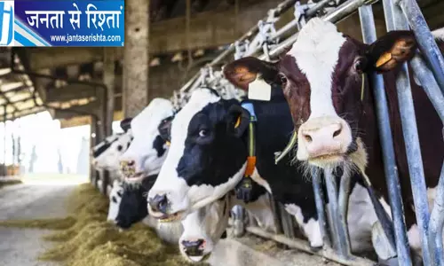 जम्मू की रिहायशी बस्तियों में अवैध डेयरियां बनीं चुनौती, रोज निकल रहा 40 से 50 टन गोबर