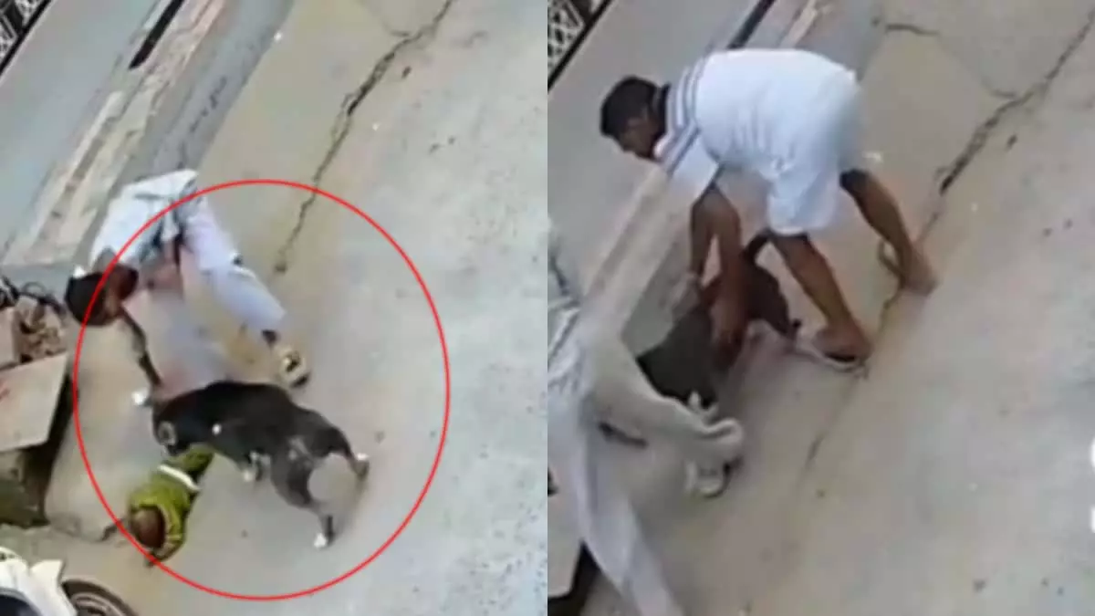 खूंखार पिटबुल ने 6 महीने के बच्चे पर किया हमला, बुआ की गोद में था, लगे 20 टांके खूंखार पिटबुल ने 6 महीने के बच्चे पर किया हमला, बुआ की गोद में था, लगे 20 टांके