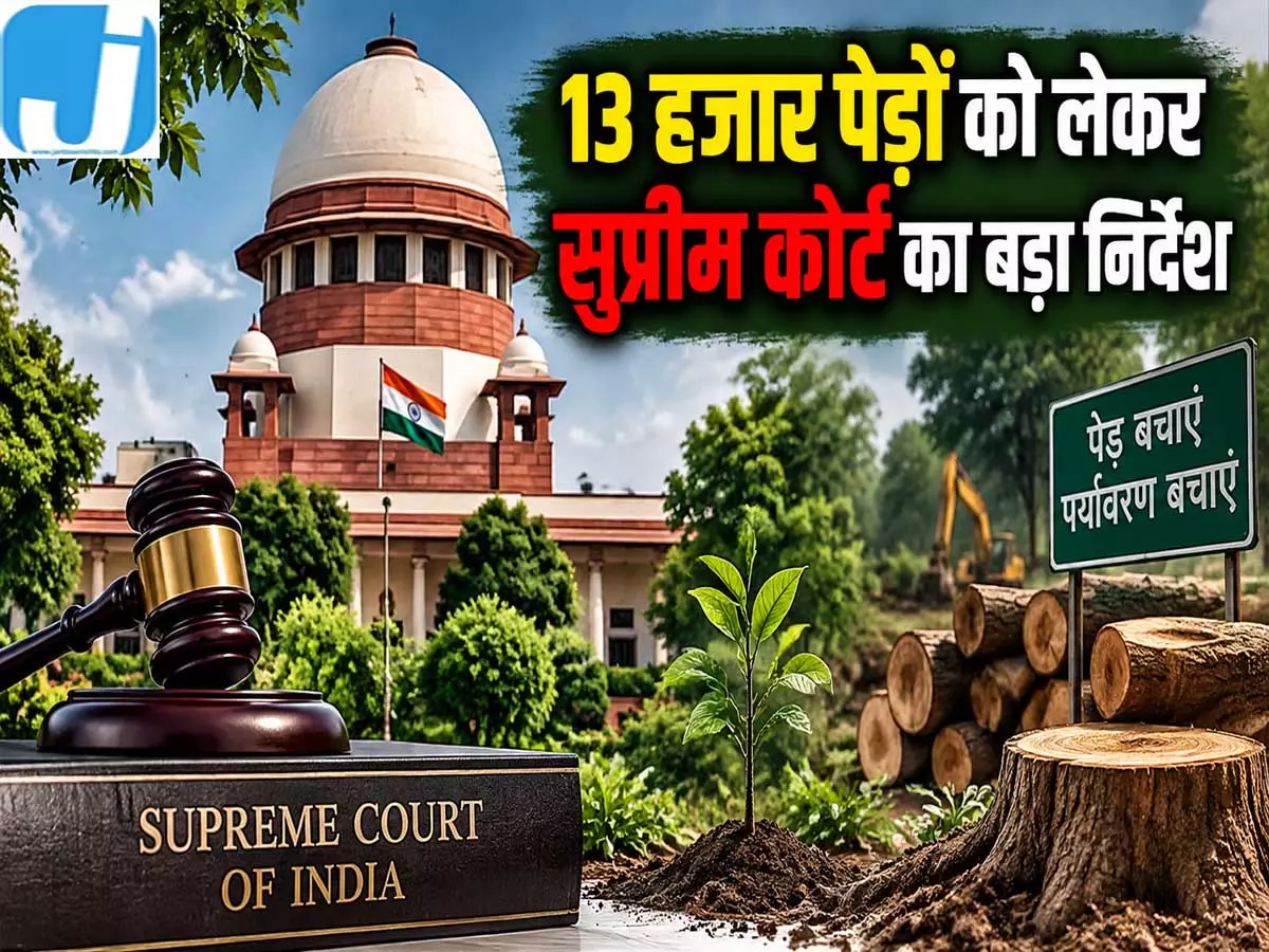 दिल्ली सेंट्रल रिज को मिलेगा नया रूप 13 हजार पेड़ों पर सुप्रीम कोर्ट का आदेश दिल्ली सेंट्रल रिज को मिलेगा नया रूप 13 हजार पेड़ों पर सुप्रीम कोर्ट का आदेश
