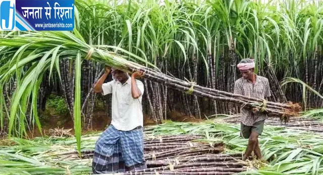 गन्ना किसानों को मिलेगी ऑनलाइन पर्ची सुविधा गन्ना किसानों को मिलेगी ऑनलाइन पर्ची सुविधा
