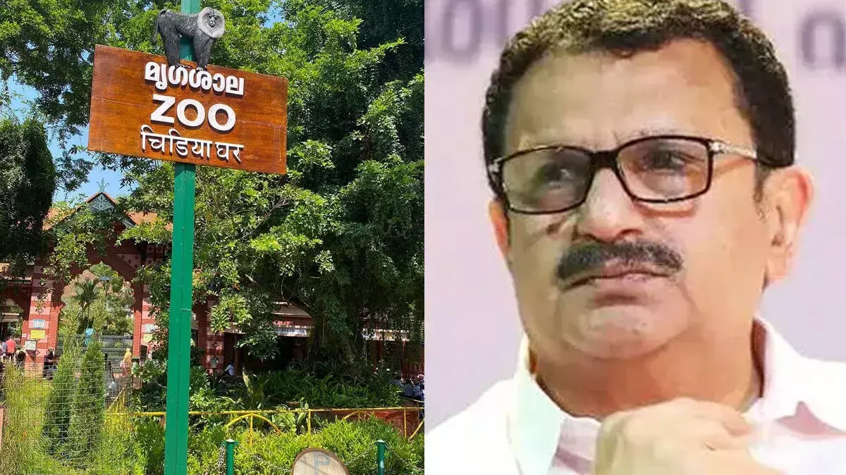 नेय्यार शिफ्ट होगा शहर का चिड़ियाघर: के. मुरलीधरन नेय्यार शिफ्ट होगा शहर का चिड़ियाघर: के. मुरलीधरन