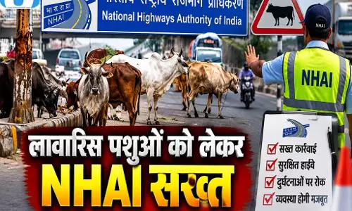 सड़कों पर पशु छोड़े तो होगी सख्त कार्रवाई NHAI का बड़ा फैसला सड़कों पर पशु छोड़े तो होगी सख्त कार्रवाई NHAI का बड़ा फैसला