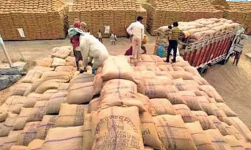 अनाज भंडारण को मिलेगी नई ताकत 290 करोड़ की बड़ी योजना