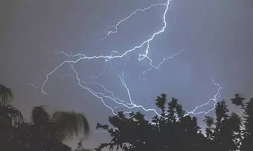 Mumbai: मराठवाड़ा में बिजली गिरने से पांच लोगों ने गंवाई जान Mumbai: मराठवाड़ा में बिजली गिरने से पांच लोगों ने गंवाई जान