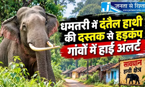 धमतरी में दंतैल हाथी की दस्तक से हड़कंप, गांवों में हाई अलर्ट