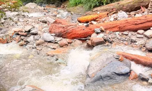 सैंज में अचानक बाढ़ से भारी नुकसान सैंज में अचानक बाढ़ से भारी नुकसान