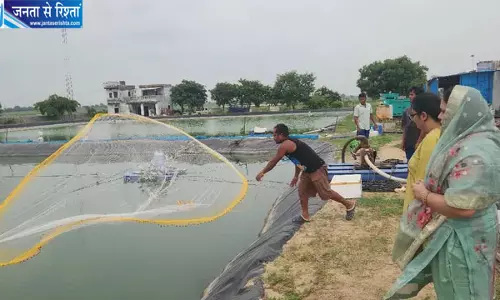बंजर जमीन बनी कमाई का जरिया बंजर जमीन बनी कमाई का जरिया
