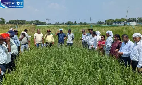 गया में किसानों ने सीखी मिलेट्स की खेती की आधुनिक तकनीक, 233 किसान और 17 अधिकारी पहुंचे