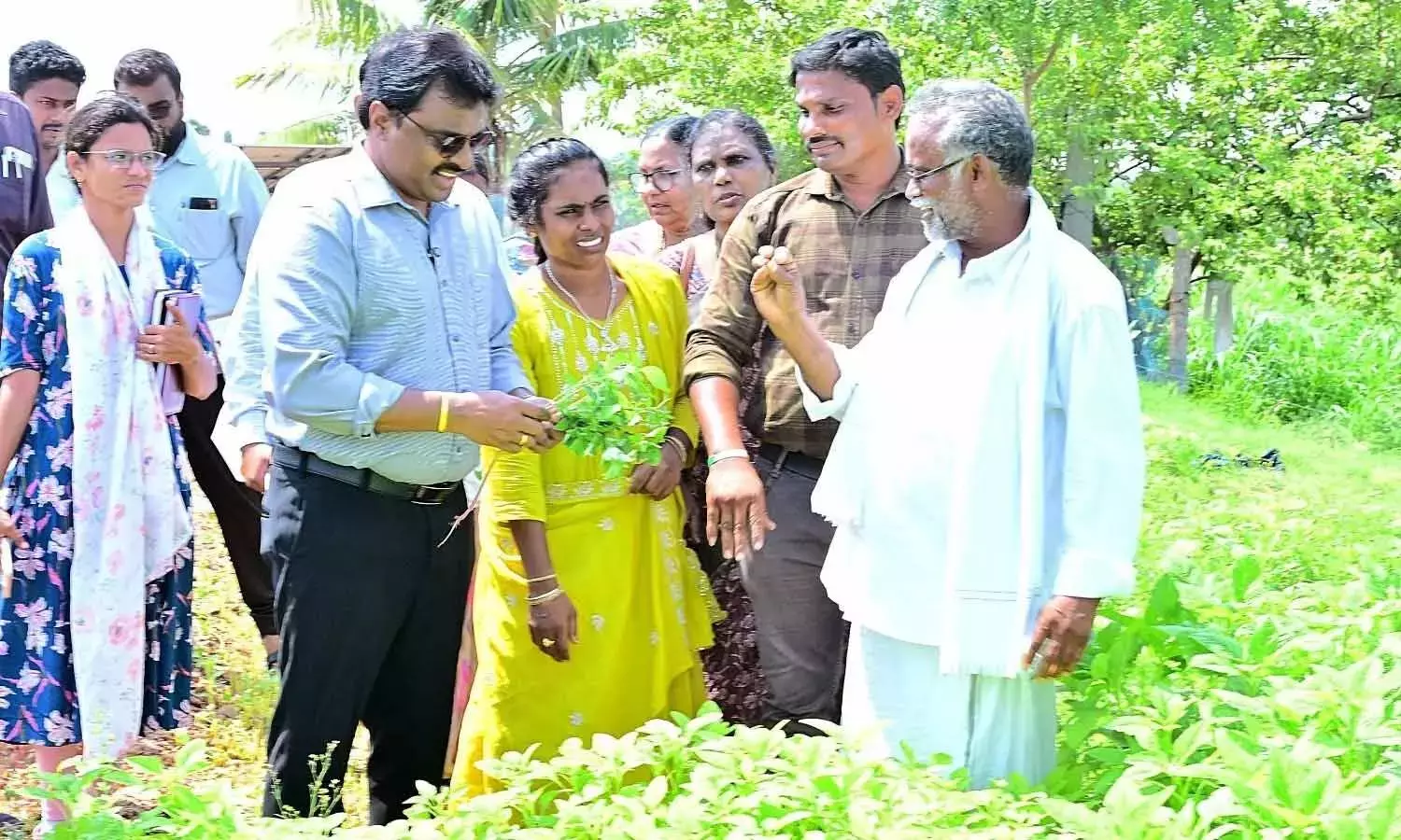 Andhra: कलेक्टर ने प्राकृतिक खेती वाले खेतों का निरीक्षण किया Andhra: कलेक्टर ने प्राकृतिक खेती वाले खेतों का निरीक्षण किया