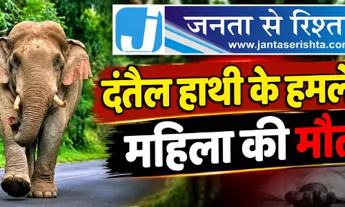 दंतैल हाथी के हमले से महिला की मौत