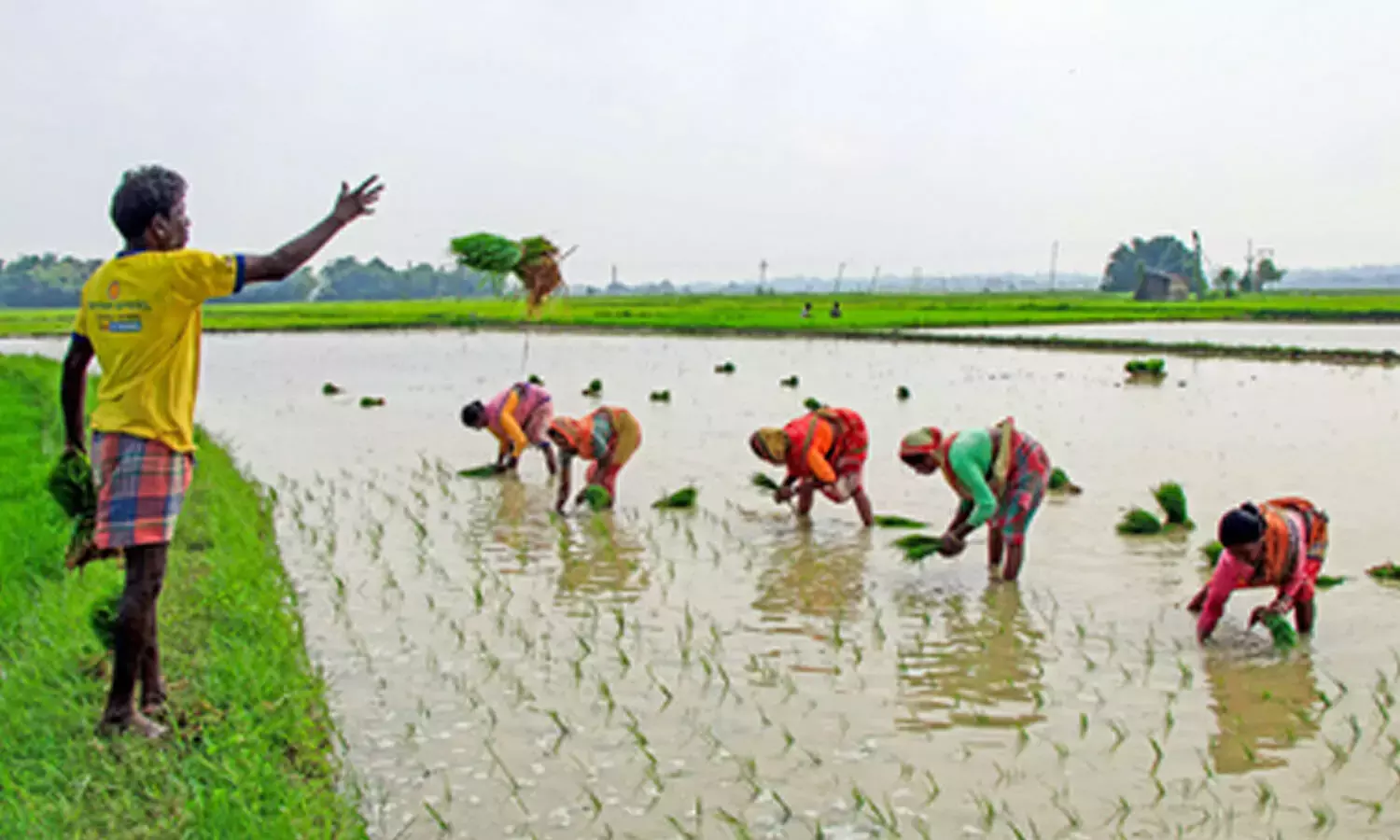 Andhra: बैंकर्स ने कृषि क्षेत्र के लिए ऋण स्वीकृत करने को कहा
