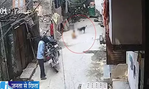 मासूम पर टूट पड़ा आवारा कुत्ता हालत गंभीर मासूम पर टूट पड़ा आवारा कुत्ता हालत गंभीर