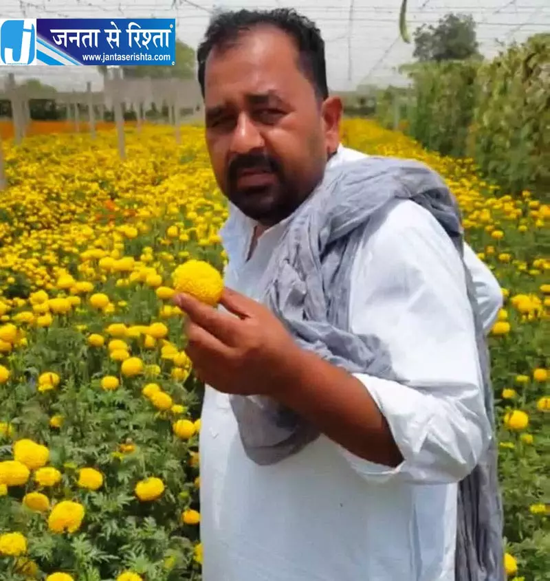 सिरसा किसान की खेती का अनोखा मॉडल सिरसा किसान की खेती का अनोखा मॉडल