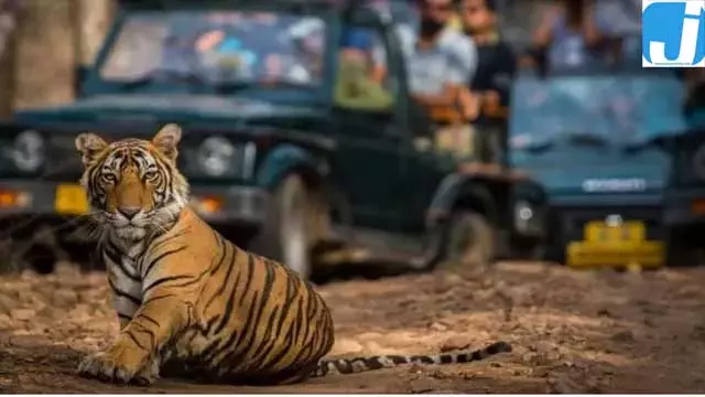 कॉर्बेट पार्क में फिर लौटेगी रौनक, दो जोन में शुरू होगा पर्यटन कॉर्बेट पार्क में फिर लौटेगी रौनक, दो जोन में शुरू होगा पर्यटन