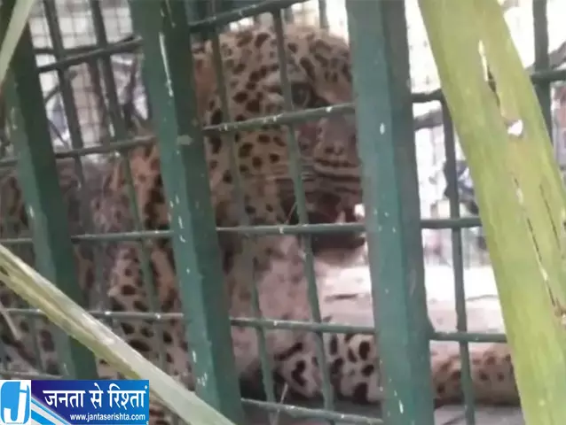 तेंदुओं की दहशत से सहमे ग्रामीण घरों में शौचालय की मांग तेंदुओं की दहशत से सहमे ग्रामीण घरों में शौचालय की मांग