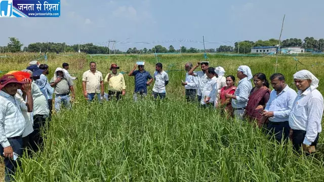 गया में किसानों ने सीखी मिलेट्स की खेती की आधुनिक तकनीक, 233 किसान और 17 अधिकारी पहुंचे गया में किसानों ने सीखी मिलेट्स की खेती की आधुनिक तकनीक, 233 किसान और 17 अधिकारी पहुंचे