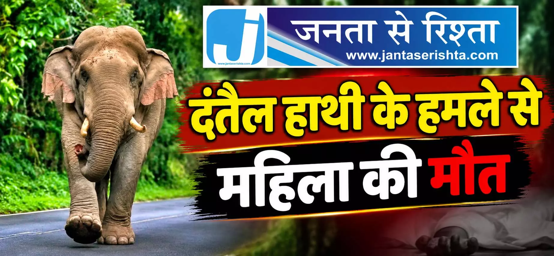 दंतैल हाथी के हमले से महिला की मौत दंतैल हाथी के हमले से महिला की मौत