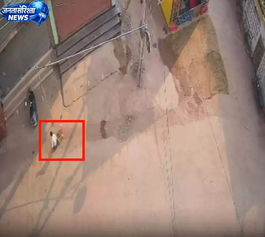 कुत्ते ने 31 लोगों को काटा, इलाके में फैली दहशत कुत्ते ने 31 लोगों को काटा, इलाके में फैली दहशत