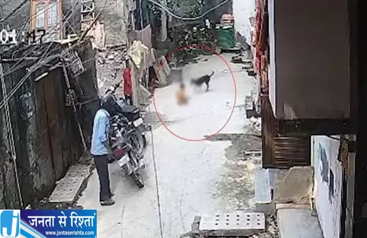 मासूम पर टूट पड़ा आवारा कुत्ता हालत गंभीर मासूम पर टूट पड़ा आवारा कुत्ता हालत गंभीर