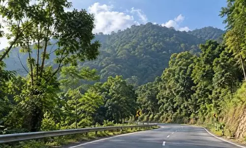 Manipur: अतिक्रमण-विरोधी अभियान के बाद वैथौ जंगल में हरियाली लौटी Manipur: अतिक्रमण-विरोधी अभियान के बाद वैथौ जंगल में हरियाली लौटी