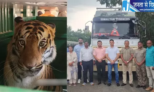 हिमाचल में फिर गूंजेगी बाघों की दहाड़