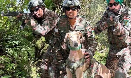 भारतीय सेना के जांबाज डॉग्स ने अमेरिकी सैनिकों के सामने दिखाया कौशल