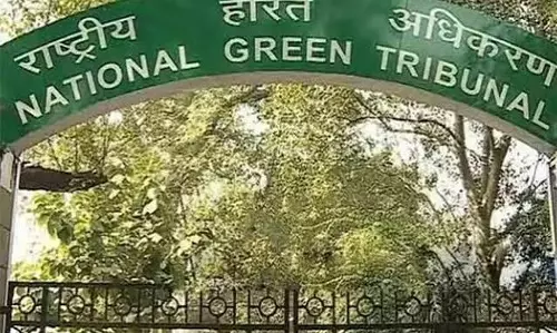 2026 की पहली छमाही: NGT ने पर्यावरण दलों का पक्ष नहीं लिया 2026 की पहली छमाही: NGT ने पर्यावरण दलों का पक्ष नहीं लिया