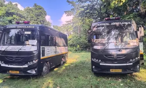 वीटीआर से बक्सा टाइगर रिजर्व भेजी जाएगी बाघिन, बाघों की संख्या बढ़ाने की तैयारी तेज वीटीआर से बक्सा टाइगर रिजर्व भेजी जाएगी बाघिन, बाघों की संख्या बढ़ाने की तैयारी तेज