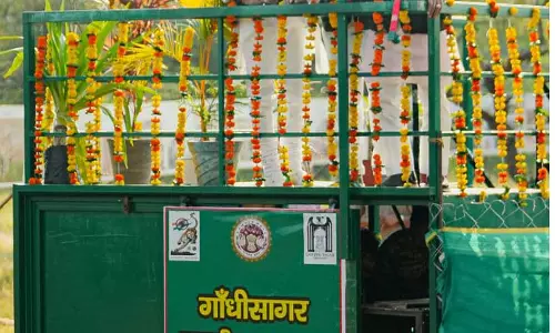 MP के अभयारण्य में नई मादा चीता की एंट्री MP के अभयारण्य में नई मादा चीता की एंट्री