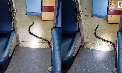 कटिहार एक्सप्रेस के स्लीपर कोच में घुसा सांप, VIDEO वायरल कटिहार एक्सप्रेस के स्लीपर कोच में घुसा सांप, VIDEO वायरल