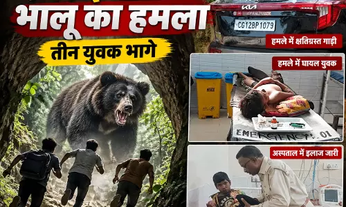 कोरबा में खौफनाक मंजर, भालू से भिड़ गया भाई पत्थर मारकर बचाया मासूम