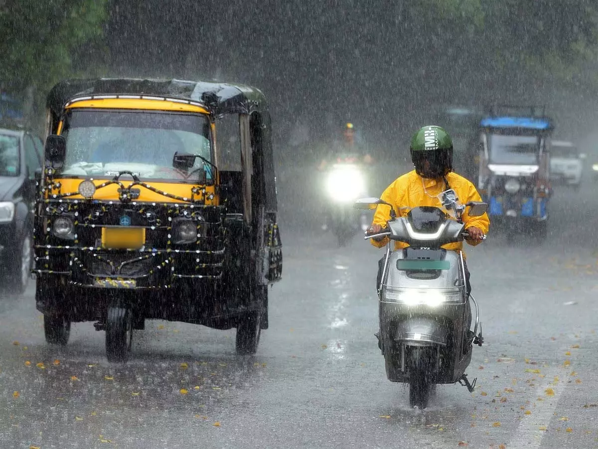 CG Weather Update: संडे का प्लान बिगाड़ेगा मौसम, जरा मिजाज देख लीजिए... CG Weather Update: संडे का प्लान बिगाड़ेगा मौसम, जरा मिजाज देख लीजिए...